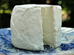 Goat Cheese